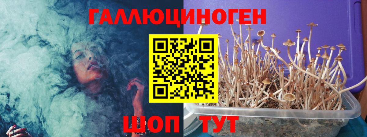Ликино-Дулёво  Галлюциногенные грибы MAGIC MUSHROOMS  Вход с VPN  Псилоцибиновые грибы ЛСД 